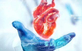 Cải thiện sức khỏe tim bằng cách loại bỏ tế bào ‘zombie’