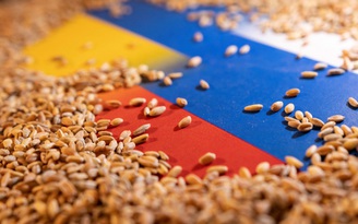 Nga cáo buộc phương Tây về thỏa thuận ngũ cốc
