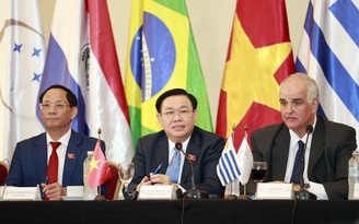 Sớm khởi động đàm phán Hiệp định Thương mại tự do Việt Nam - MERCOSUR