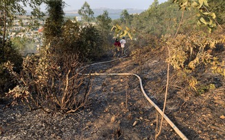 Bình Định: Cháy rừng trên núi Bà Hỏa ở TP.Quy Nhơn