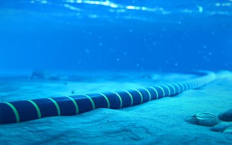 Cáp ngầm: đấu trường cạnh tranh Mỹ - Trung