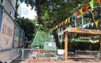 Những trường học ngát cây xanh ở TP.HCM