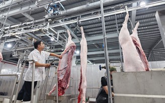 Vì sao tiêu thụ thịt heo của TP.HCM giảm 2.646 con?