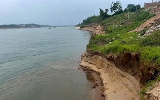 'Mất ăn, mất ngủ' vì bờ sông Đà ở Phú Thọ sạt lở sâu