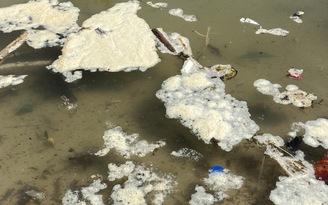 TP.Nha Trang yêu cầu xử lý dứt điểm cống nước thải đổ ra biển