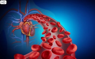 Lợi ích không ngờ của ngọ nguậy ngón chân đối với tim mạch