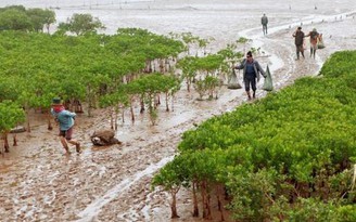 Học sinh tử vong khi đi dã ngoại, sở GD-ĐT yêu cầu không tổ chức tự phát