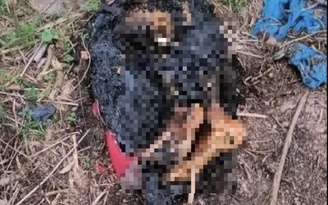 Vụ phát hiện phần thi thể bị đốt cháy ở Bình Dương: Truy tìm tung tích nạn nhân