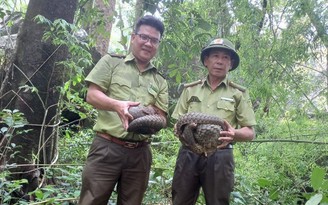 Kiểm lâm TP.HCM thả 28 cá thể động vật hoang dã về rừng Ninh Thuận