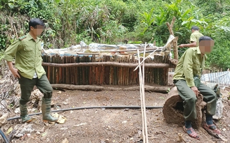 Thanh Hóa lập ban chỉ đạo ngăn chặn nạn đào vàng ở Khu bảo tồn thiên nhiên Pù Luông