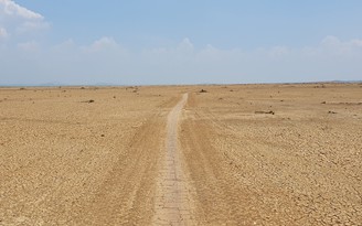 Hồ Trị An hóa hoang mạc trong mùa khô