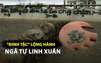 Đinh tặc tung hoành, Ngã tư Linh Xuân tràn ngập ‘ách rô’ khiến dân phẫn nộ