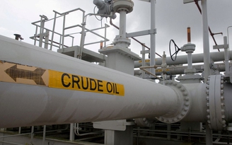 Giá xăng dầu hôm nay 8.5.2023: Giá nhập khẩu tiếp đà giảm