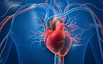 Dấu hiệu nào cảnh báo nhịp tim bất thường?