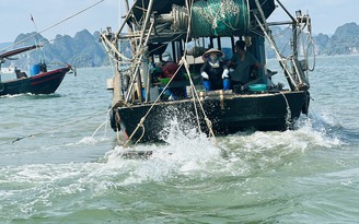 Quảng Ninh: Tàu giã cào công khai 'tàn sát' môi trường vịnh Hạ Long