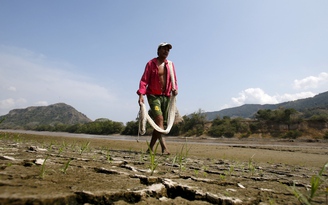 Thế giới hầm hập vì El Nino