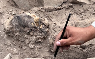 Các nhà khảo cổ Peru tìm thấy xác ướp 3.000 năm ở Lima