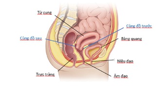 Rách cùng đồ sau quan hệ tình dục, người phụ nữ nguy kịch phải thở máy