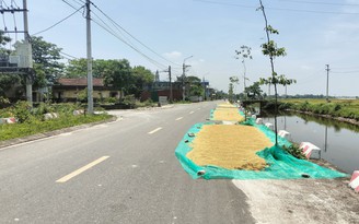 Nam Định: Chuyển công an điều tra nếu phơi thóc trên đường gây hậu quả nghiêm trọng