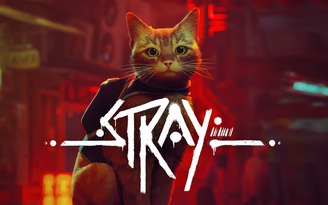 Game phiêu lưu bom tấn 'Stray' sắp cập bến nền tảng Mac
