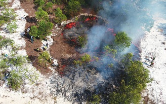 Có hay không chuyện đốt rừng phòng hộ để diễn tập chữa cháy ở Quảng Nam?