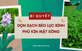 Cùng sống xanh số 38: Bí quyết dọn sạch bèo lục bình phủ kín sông Giá, bảo vệ nguồn nước sạch cho thành phố Hải Phòng