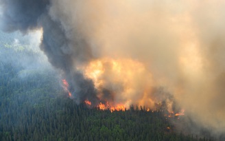 Bụi cháy rừng Canada lại lan sang Mỹ, châu Âu