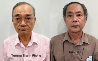 Hai cựu lãnh đạo Vinafood II bị bắt vì vi phạm quản lý 'đất vàng'