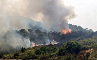 Quảng Ninh: Liên tiếp xảy ra cháy rừng khiến 2 người thiệt mạng