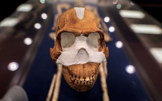 100.000 năm trước con người, loài này đã biết chôn cất đồng loại