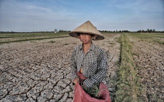 El Nino đã xuất hiện