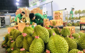 Sầu riêng Việt Nam bất ngờ tăng giá mạnh từ vườn tới chợ ở Trung Quốc