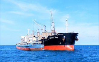 Cứu hộ thành công tàu hàng Nemrut Bay mắc cạn ở biển Bình Thuận
