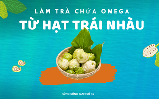 Cùng sống xanh số 40: Tận dụng hạt trái nhàu chế biến được trà chứa Omega