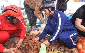 Tiểu thương chợ Phủ Diễn, tìm khoai lang như tìm báu vật