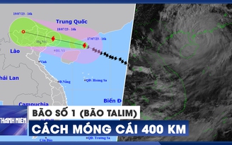 KHẨN CẤP: Bão số 1 (bão Talim) còn cách Móng Cái 400 km, gió giật cấp 15