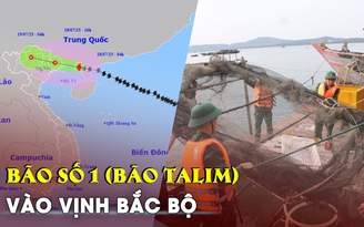 KHẨN CẤP: Bão số 1 (bão Talim) đã vào vịnh Bắc Bộ, gió giật cấp 14