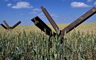 Chật vật tìm giải pháp cứu vãn thỏa thuận ngũ cốc Nga - Ukraine