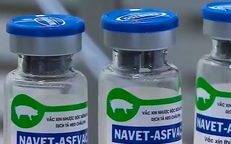 Philippines 'thúc' doanh nghiệp nhập khẩu vắc xin dịch tả lợn châu Phi của Việt Nam
