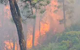 Thừa Thiên - Huế: Cháy lớn tại rừng thông đặc dụng hơn 40 năm tuổi