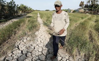 Ứng phó với 'siêu' El Nino thế nào ?