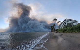 Cháy rừng khủng khiếp ở Hawaii, nhiều người phải nhảy xuống biển