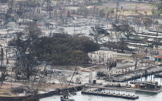 Cháy rừng ở Hawaii trở thành thảm họa lịch sử