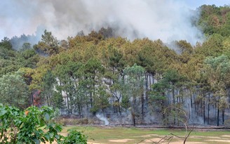 Nghi vấn rừng Sóc Sơn bị đốt vì chính quyền phá dỡ công trình vi phạm