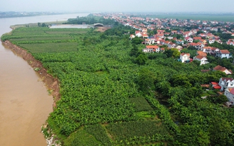 Cận cảnh 655 m bờ sông Thao sạt lở, đe dọa cuộc sống hơn 1.000 hộ dân