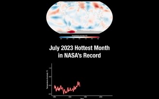NASA: Cháy rừng Hawaii là hệ quả nhiệt độ tăng, 2023 có thể là năm nóng nhất