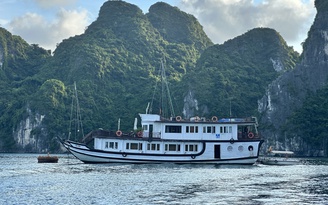 Vì sao chuyển đổi tàu vỏ gỗ trên vịnh Hạ Long sang tàu thép gặp khó?