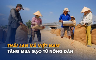 Thái Lan và Việt Nam tăng mua gạo từ nông dân