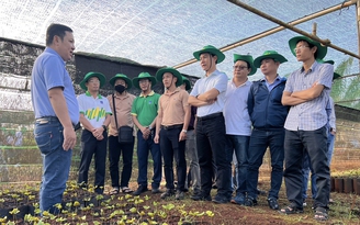 Nông dân được mùa, bội thu nhờ đặt niềm tin vào NPK Phú Mỹ Nông dân được mùa, bội thu nhờ đặt niềm tin vào NPK Phú Mỹ