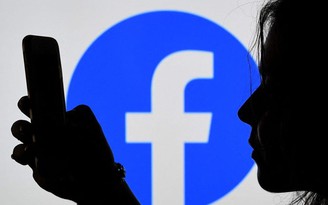 Đăng Facebook xuyên tạc, xúc phạm, một phụ nữ lãnh án tù